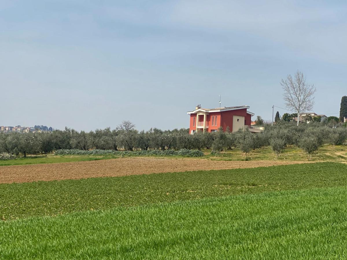 Olea B&B Montecosaro  Екстер'єр фото
