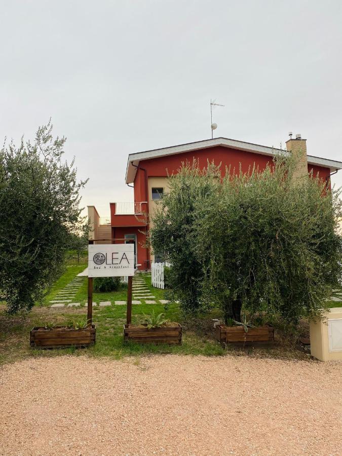 Olea B&B Montecosaro  Екстер'єр фото